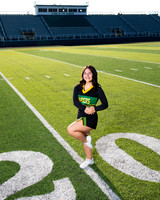 241-NHS 2024 Fall
