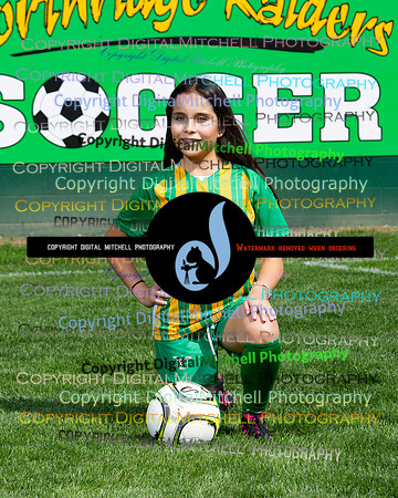 344-NHS 2024 Fall