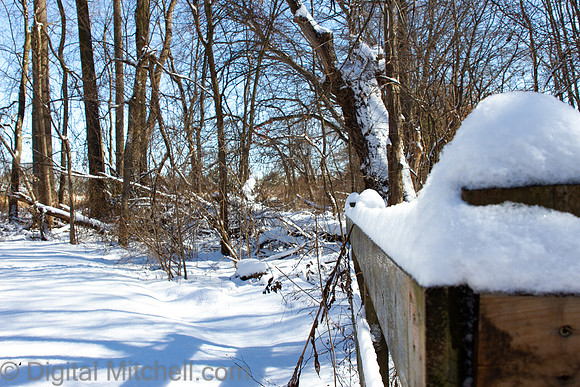 69-Cobus Creek Winter 2-18-22