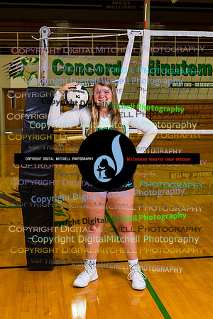 78-Volleyball 2020