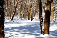 87-Cobus Creek Winter 2-18-22