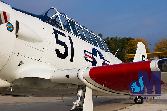 WarBirds2013-2882