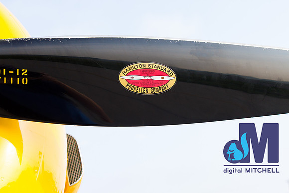 WarBirds2013-2877