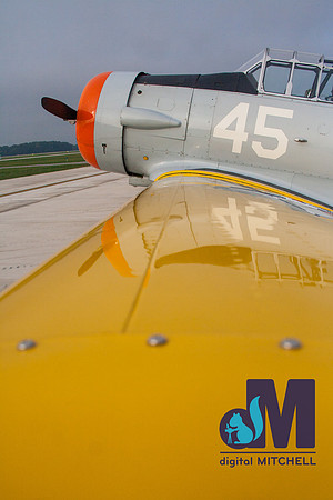 WarBirds2013-2473