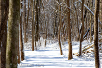 92-Cobus Creek Winter 2-18-22