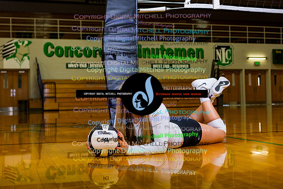 50-Volleyball 2020