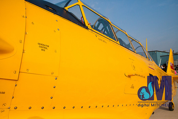 WarBirds2013-2463
