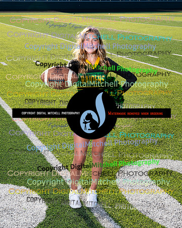 262-NHS 2024 Fall