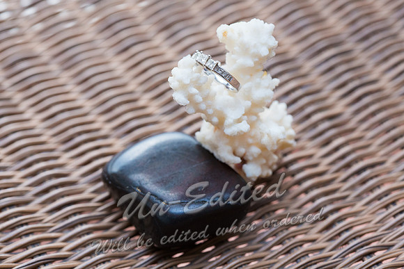 CL_Wedding-537