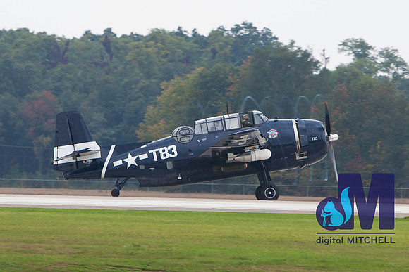 WarBirds2013-1978
