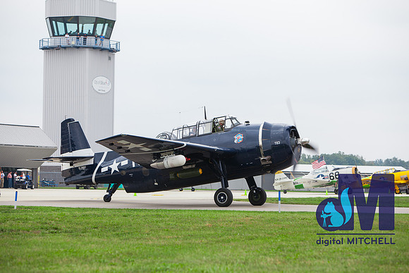 WarBirds2013-1895