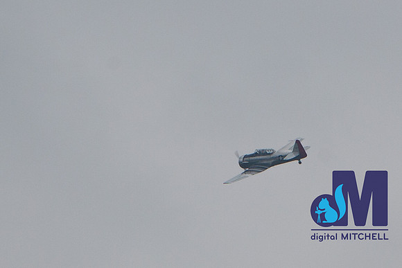 WarBirds2013-1633