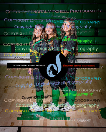 178-NHS 2025 Track and Softball
