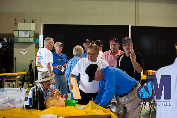 WarBirds2013-1491