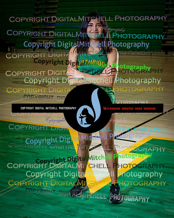 435-NHS 2025 Track and Softball