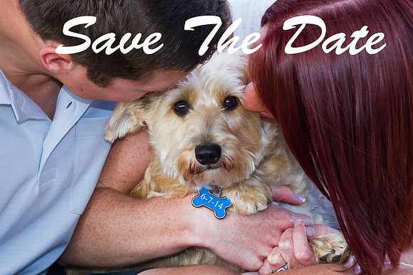 Save The Date 4