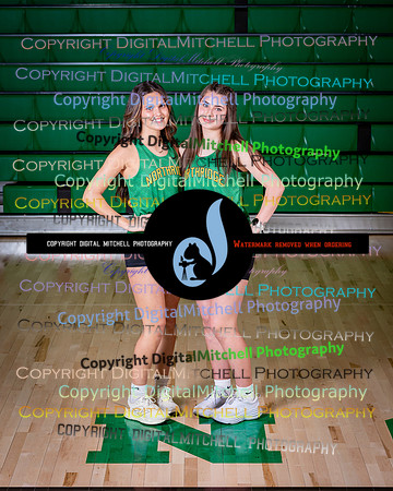 113-NHS 2025 Track and Softball