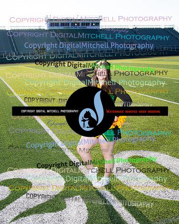 255-NHS 2024 Fall