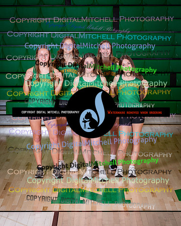136-NHS 2025 Track and Softball