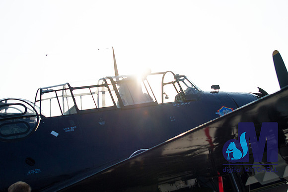 WarBirds2013-2868