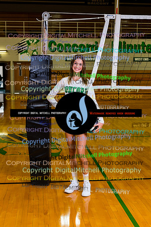 63-Volleyball 2020