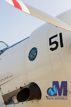 WarBirds2013-2880