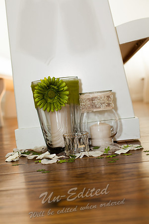 Emily and Jesse-185