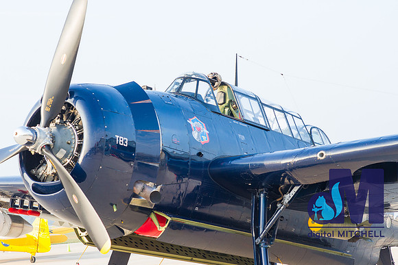 WarBirds2013-2855