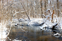 120-Cobus Creek Winter 2-18-22