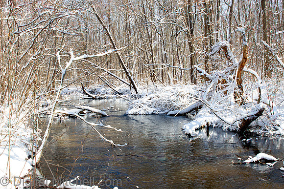 120-Cobus Creek Winter 2-18-22