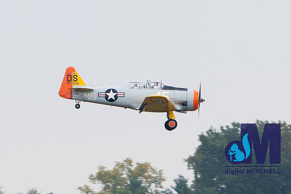 WarBirds2013-1990