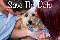 Save The Date 5