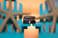 CL_Wedding-1695