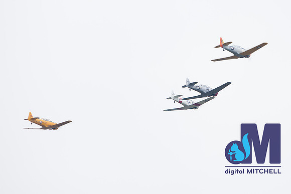 WarBirds2013-1887