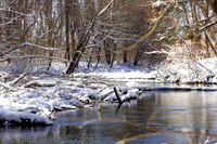 118-Cobus Creek Winter 2-18-22