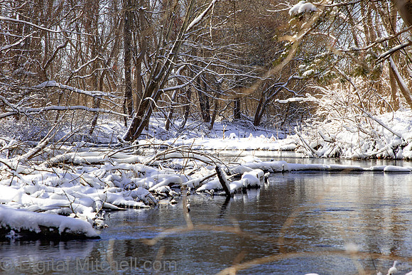 118-Cobus Creek Winter 2-18-22