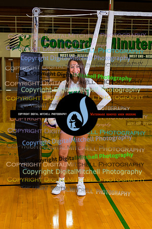 67-Volleyball 2020