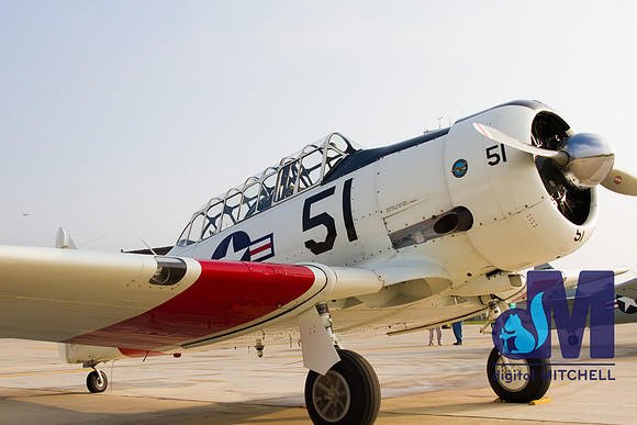 WarBirds2013-2879