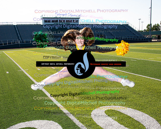 258-NHS 2024 Fall