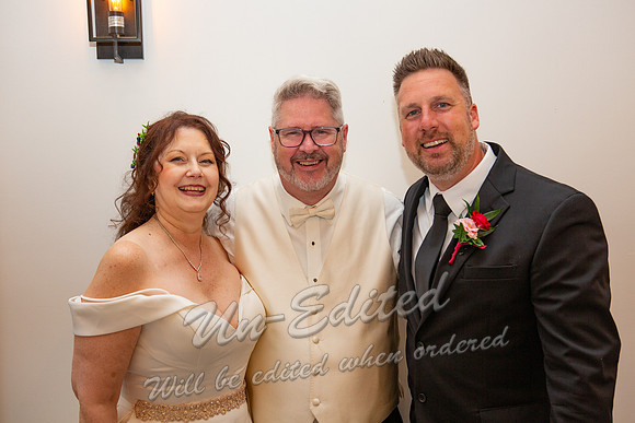 741-Wedding