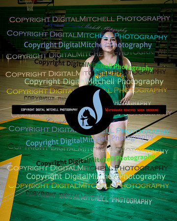 431-NHS 2025 Track and Softball