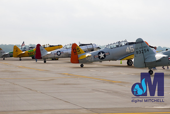 WarBirds2013-2888
