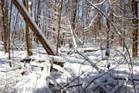 85-Cobus Creek Winter 2-18-22