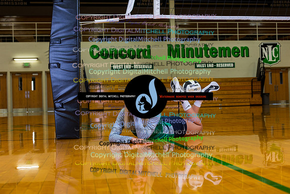 113-Volleyball 2020