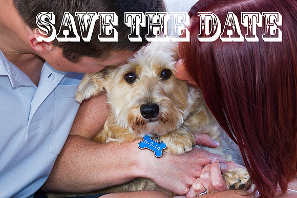Save The Date 9