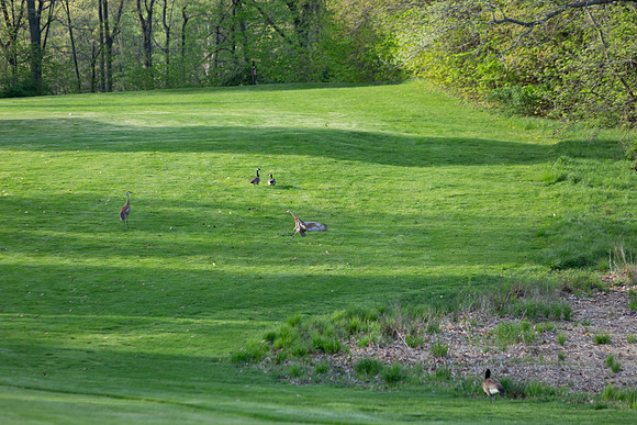 237-Hunter Golf Match