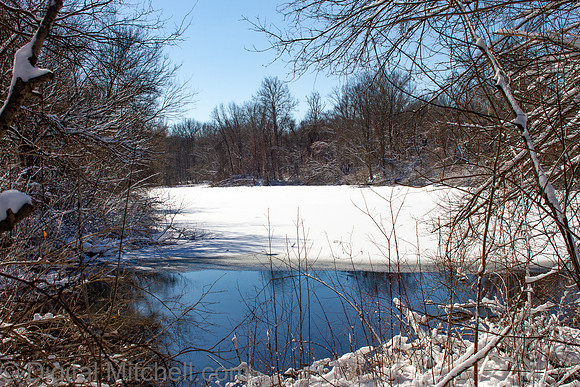 60-Cobus Creek Winter 2-18-22