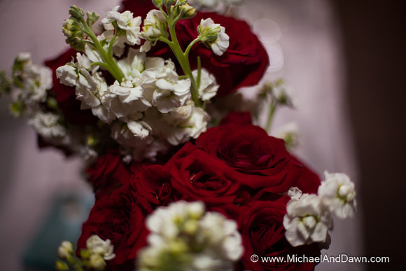 Danielle and Eric-1521-E-Blog
