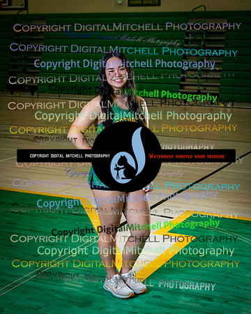 409-NHS 2025 Track and Softball