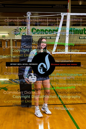132-Volleyball 2020